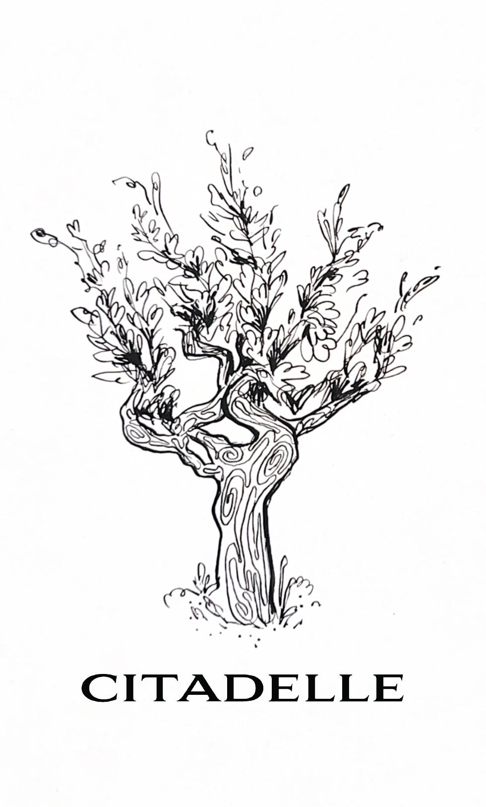 Domaine de la Citadelle illustration — a gnarled olive tree with the word CITADELLE beneath it
